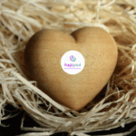 wooden heart in an empty nest with the hapipod logo in the centre