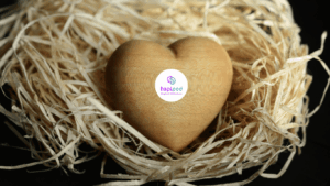 wooden heart in an empty nest with the hapipod logo in the centre